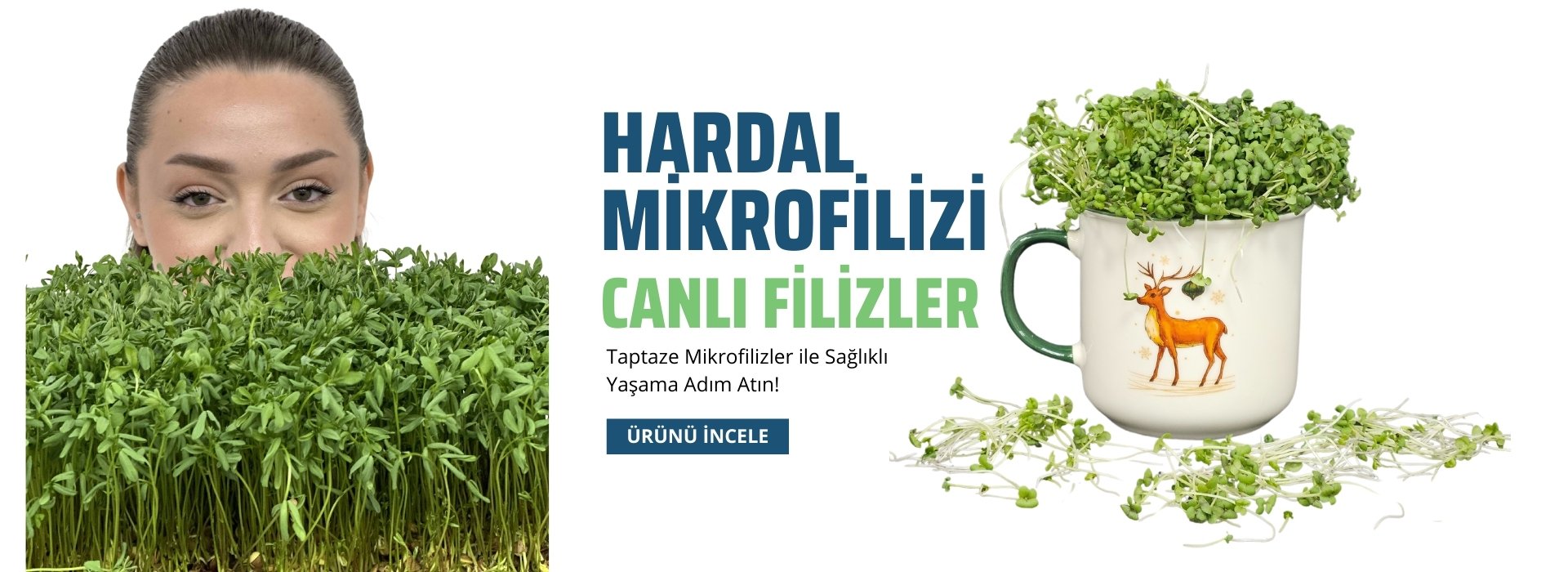 hardal-mikrofilizi