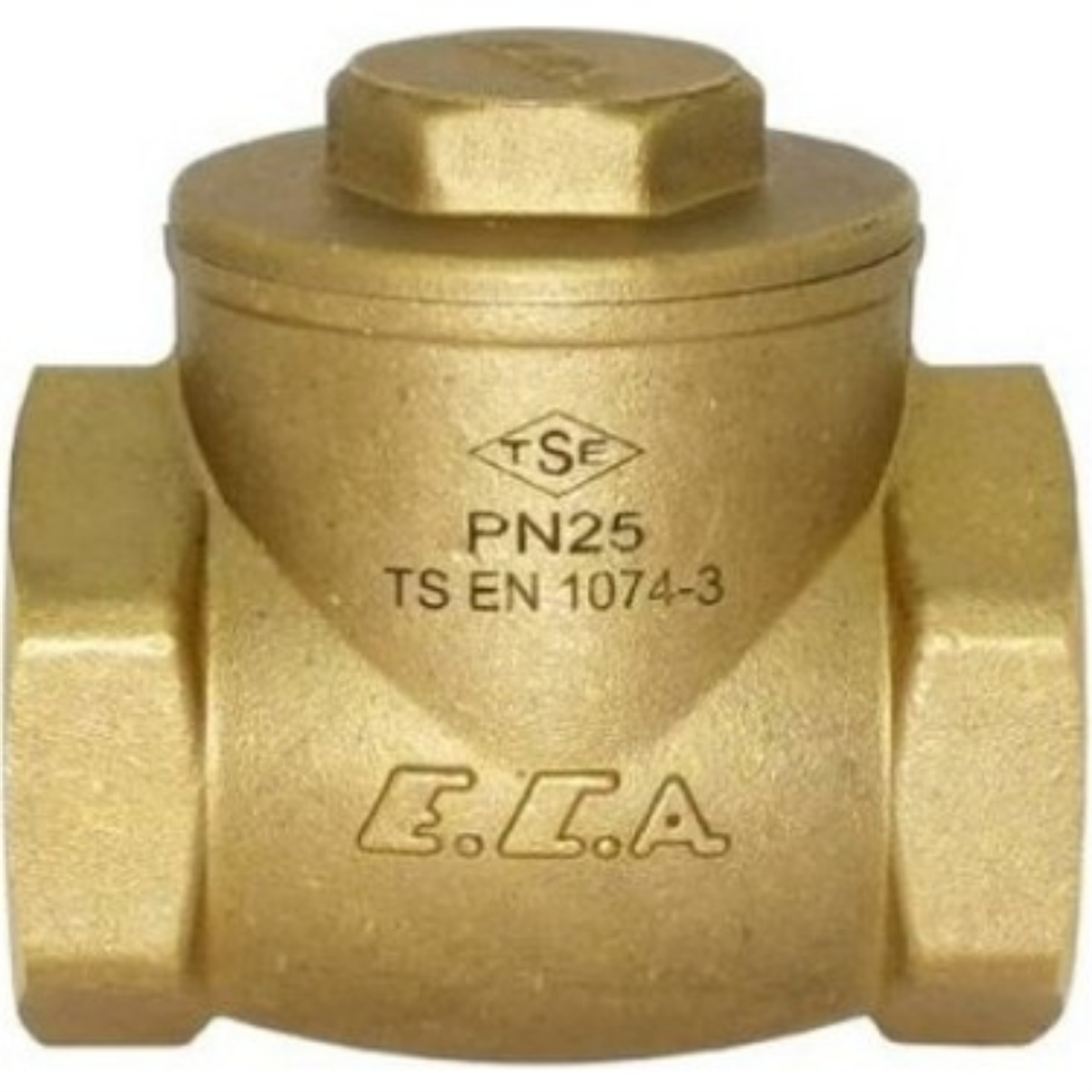 ECA 1