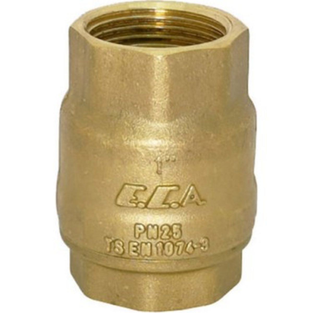 ECA 1
