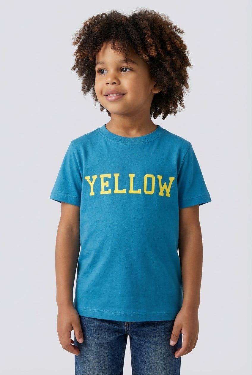 Brix Erkek Çocuk Baskılı %100 Pamuk T-Shirt 8514  Orta Mavi Renk