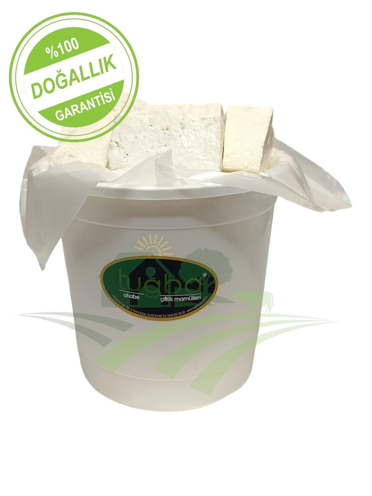 TUĞBA Y.YAĞLI BEYAZ PEYNİR 