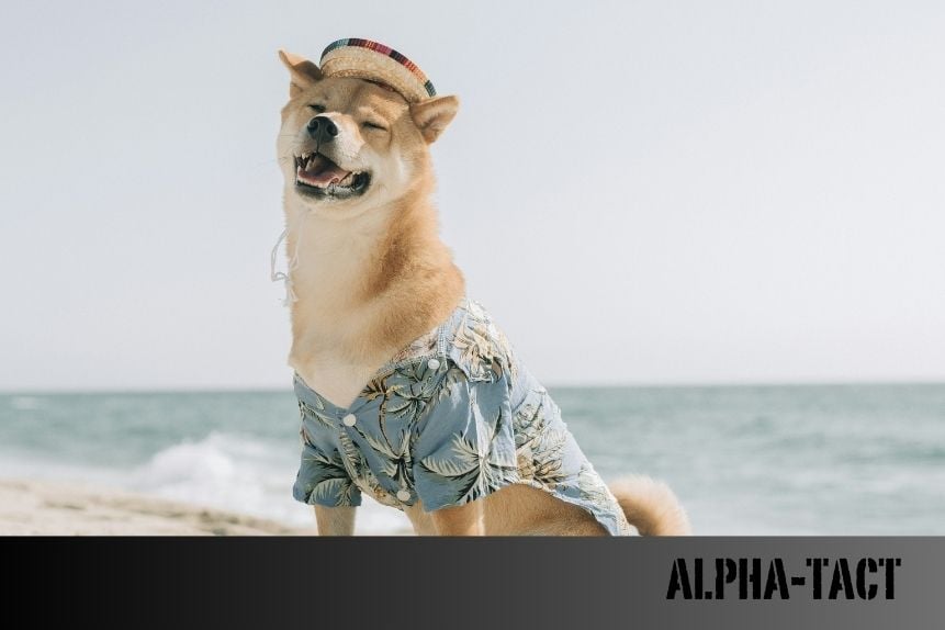 Hachiko: Sadakatin Simgesi Olan Köpeğin Hikayesi