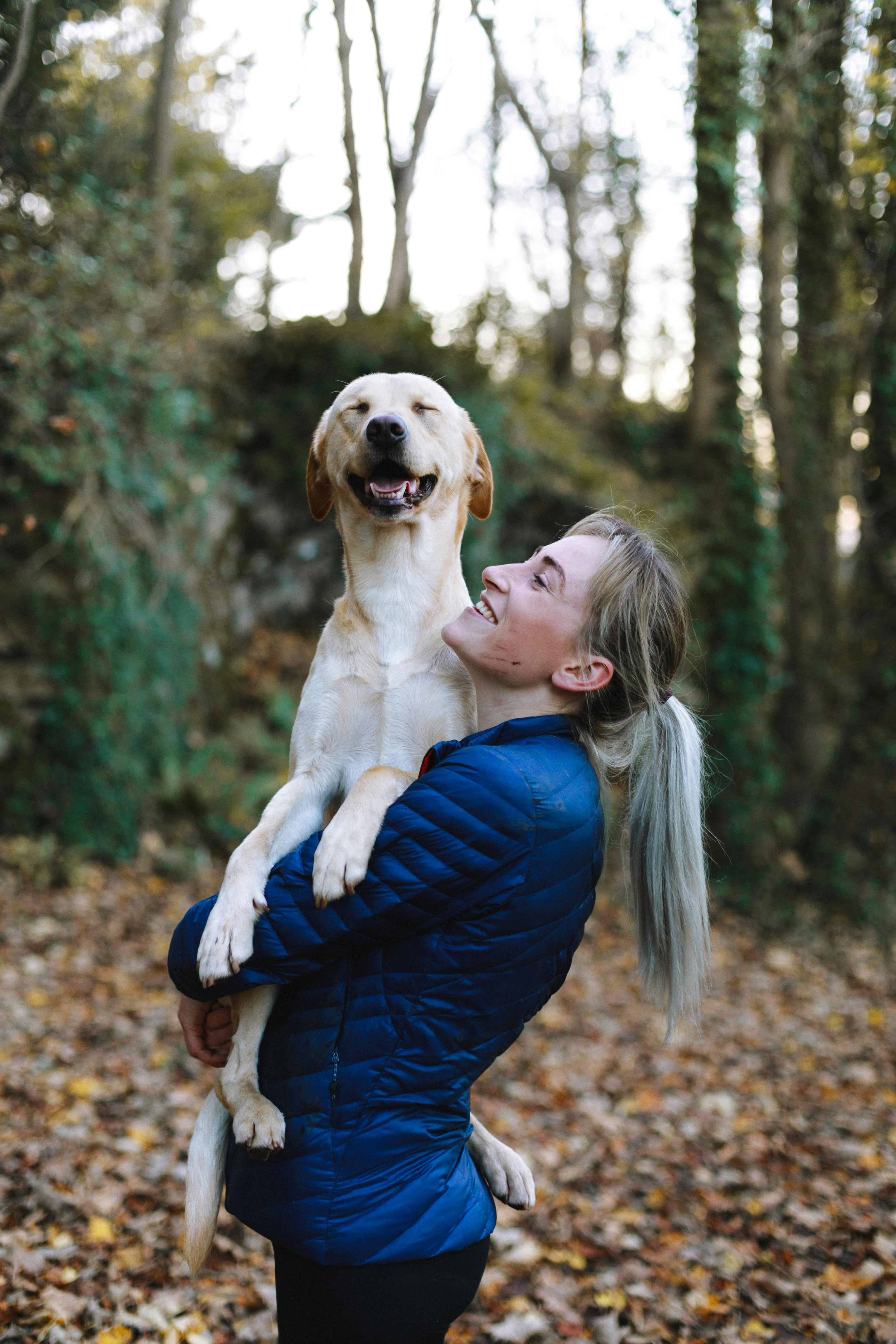 Köpeğinizle Seyahat Etmenin Püf Noktaları