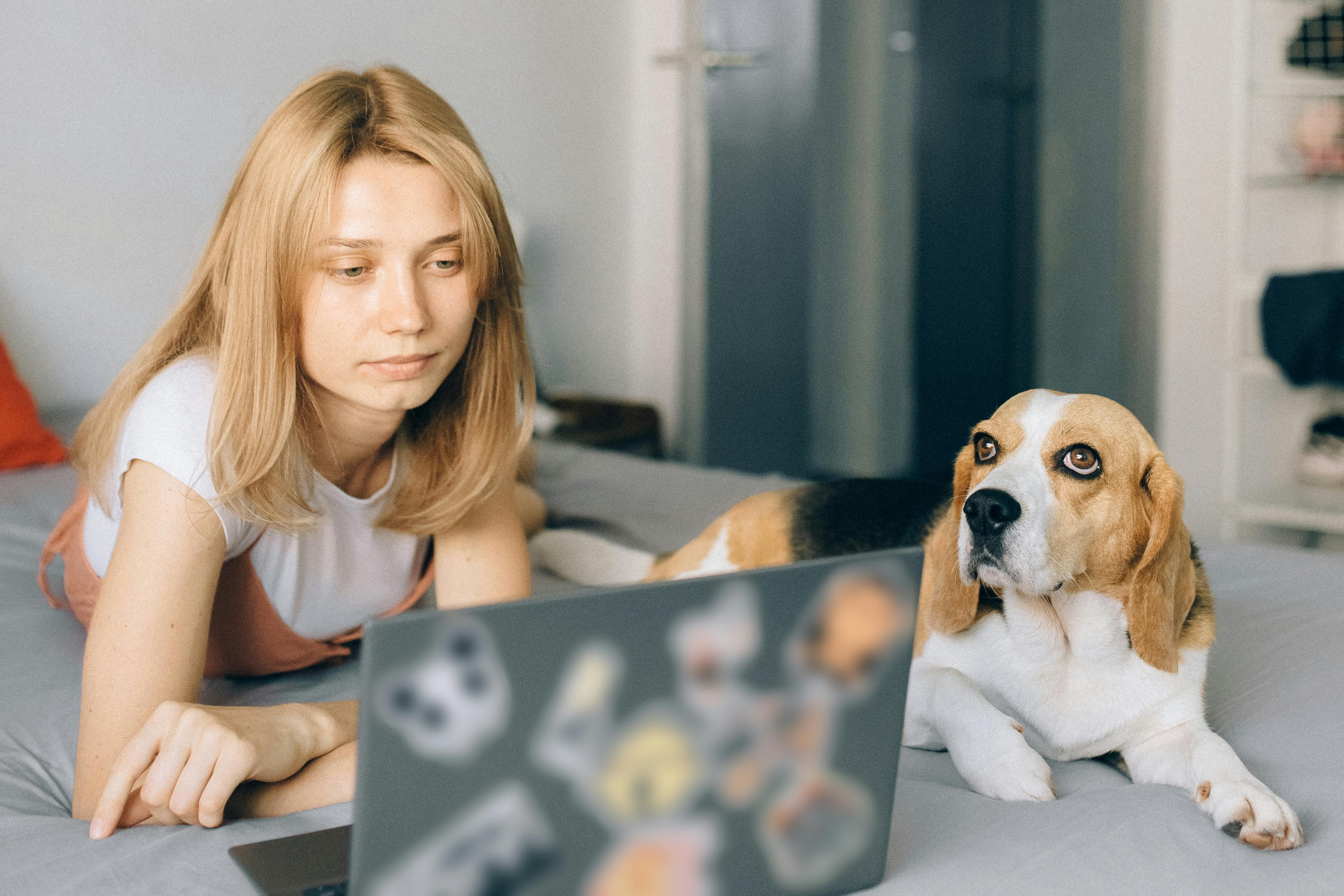 Köpek Davranışları ve Sorunları- Anlama ve Çözüm Yolları