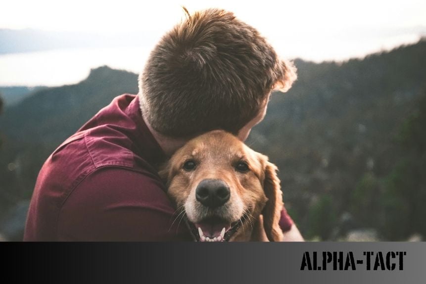 Köpekler İçin İlkyardım: Acil Durumlarda Hayat Kurtaran Bilgiler
