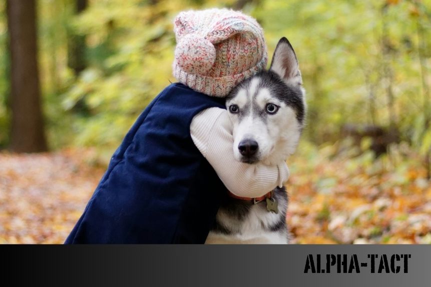 Köpeklerde İletişim: Kuyruk Hareketlerinin Anlamları