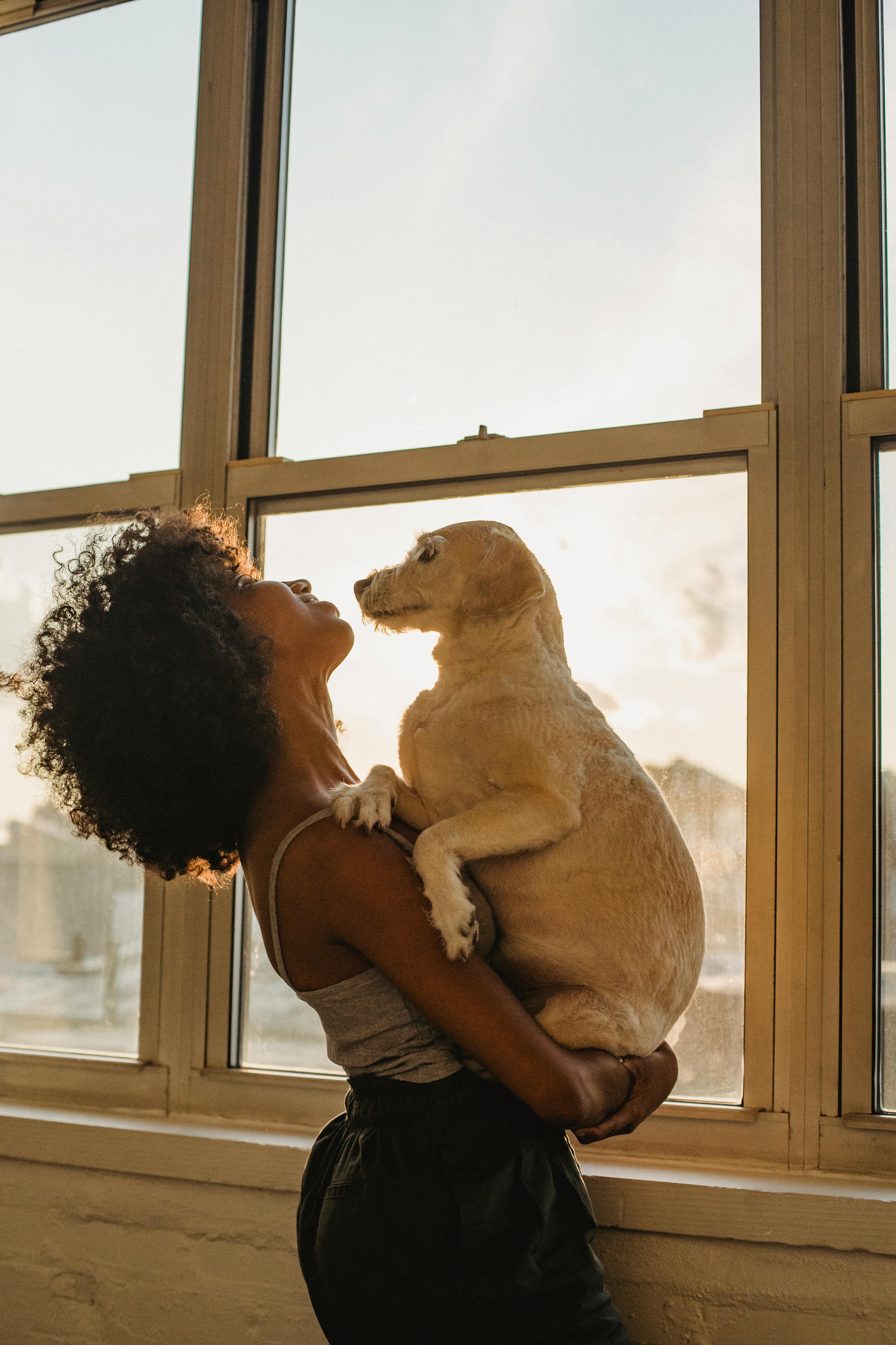 Köpeklerde Uyuz Çeşitleri Nelerdir? Uyuz Tedavisi Nasıl Yapılır? Uyuz Nasıl Önlenir?