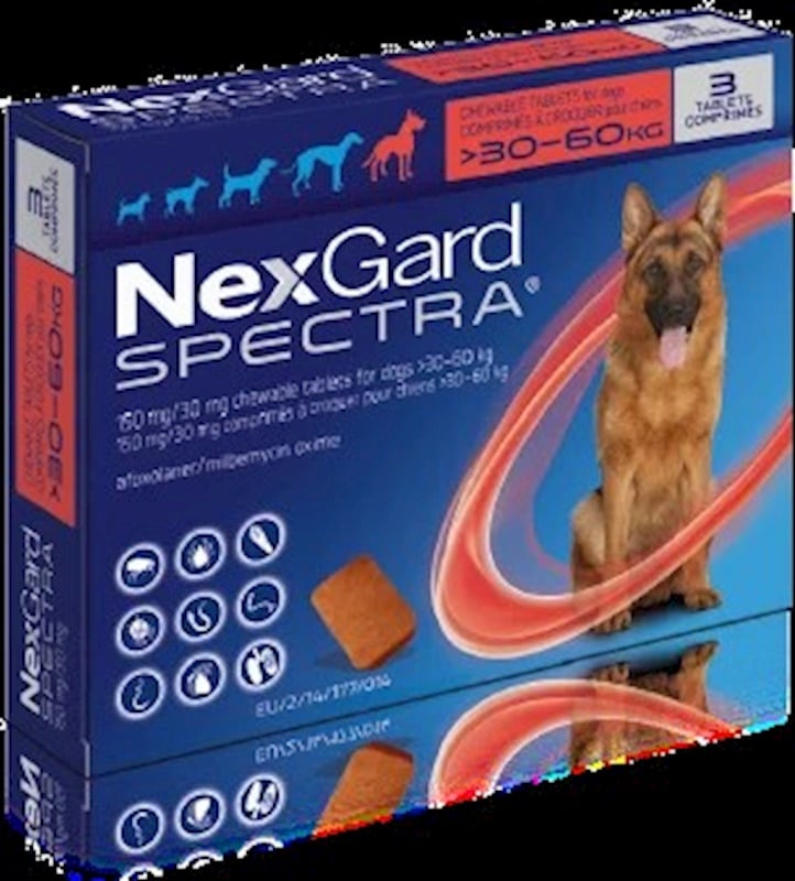 NexGard Spectra ile Köpekleriniz İçin Güvenli ve Etkili Koruma