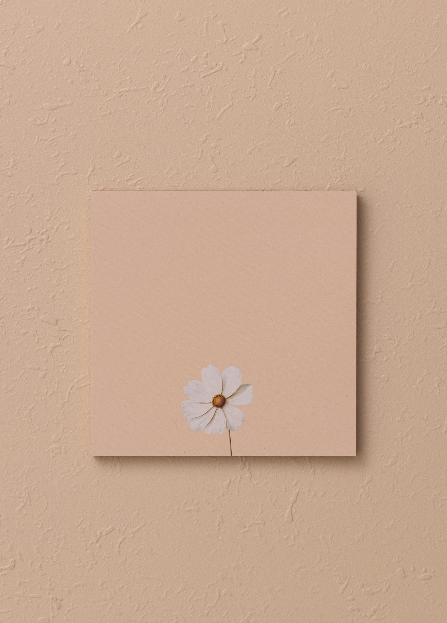 The Mia Art Line Mini Notluk Cosmea 10 x 10 cm 40 Yaprak
