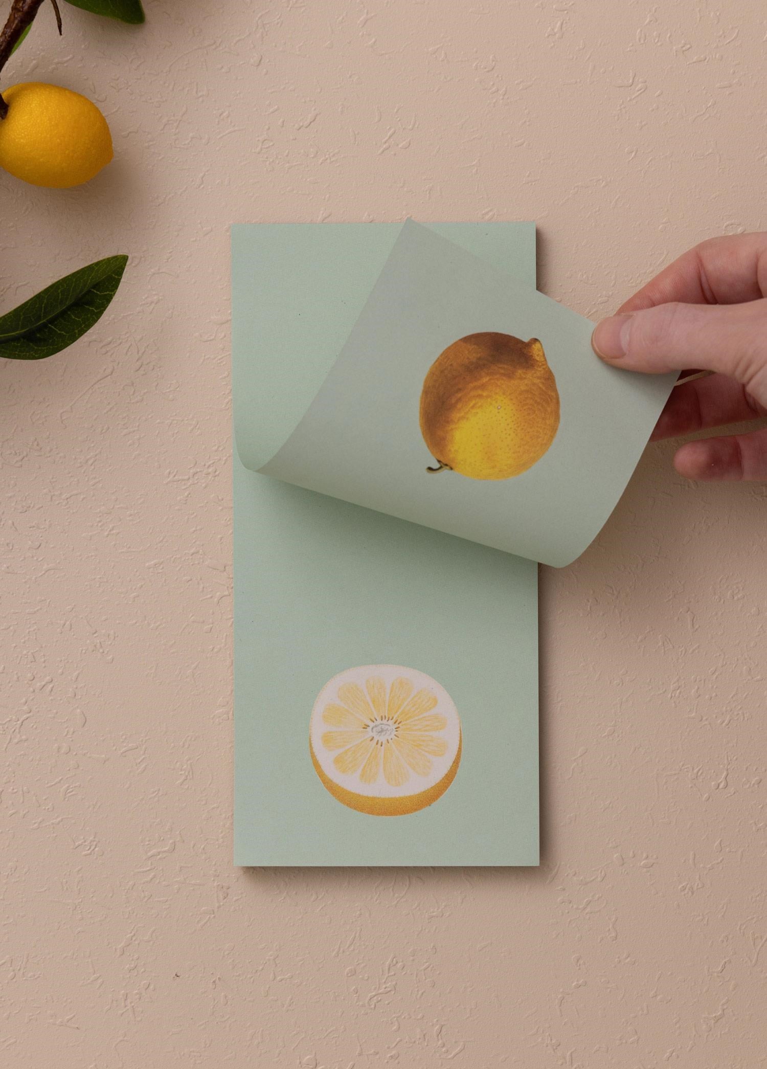 The Mia Art Line Mini Notluk Lemon 10 x 21 cm 40 Yaprak