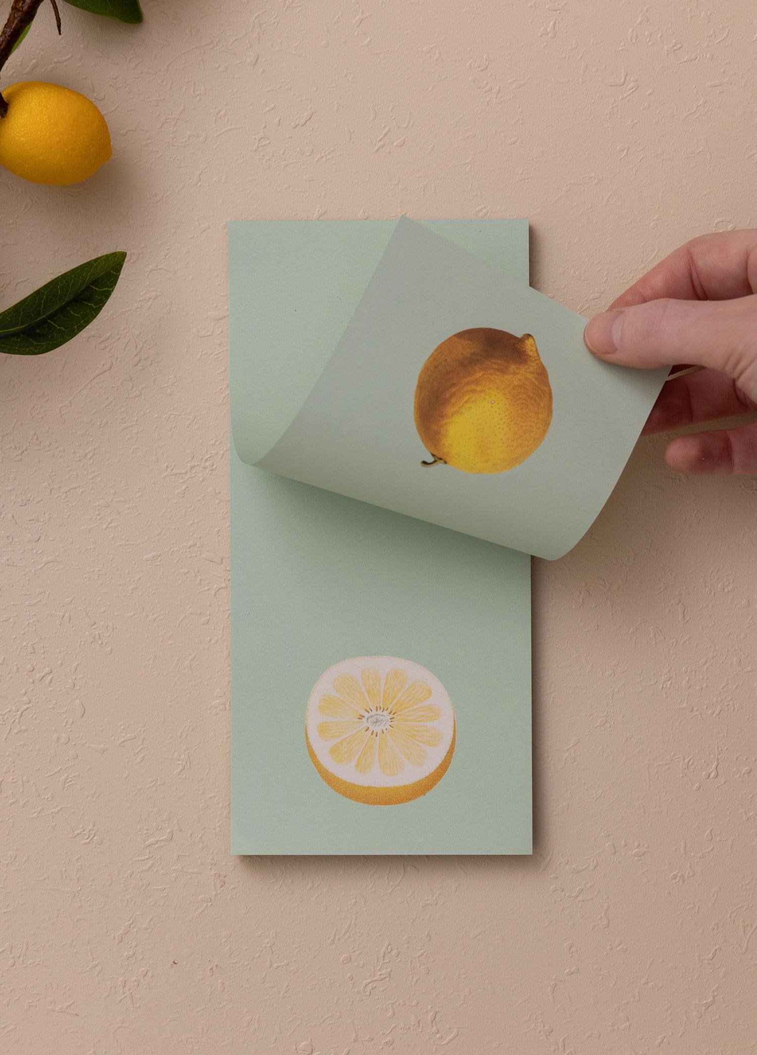 The Mia Art Line Mini Notluk Lemon 10 x 21 cm 40 Yaprak