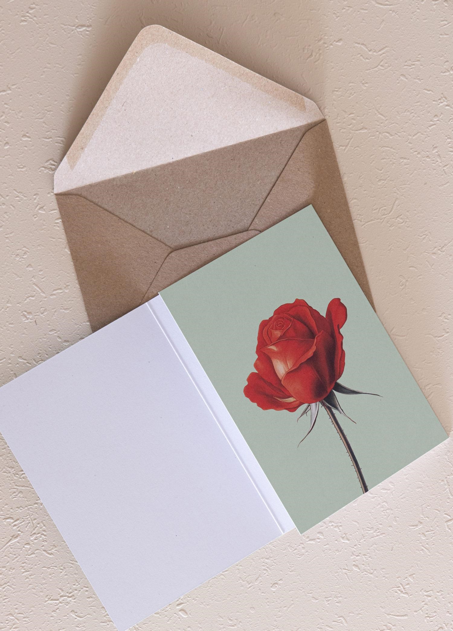 The Mia Art Line Mini Tebrik Kart Seti Rose 10 x 14 cm