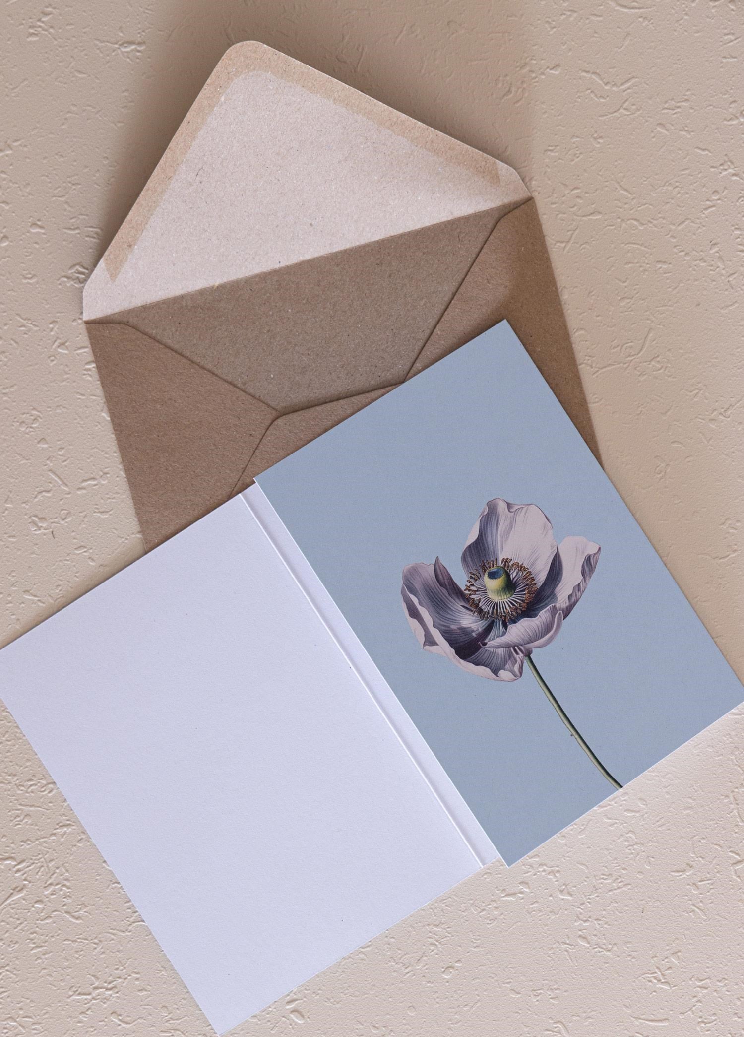 The Mia Art Line Mini Tebrik Kart Seti Anemone 10 x 14 cm