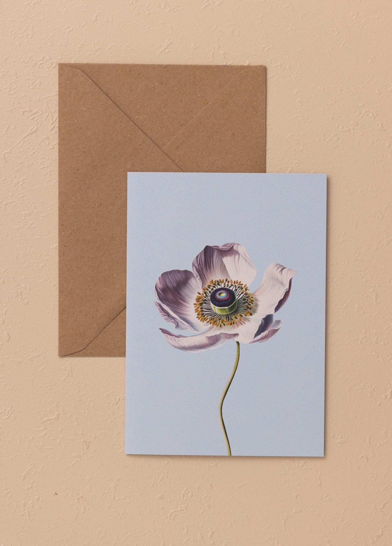 The Mia Art Line Mini Tebrik Kart Seti Anemone 10 x 14 cm