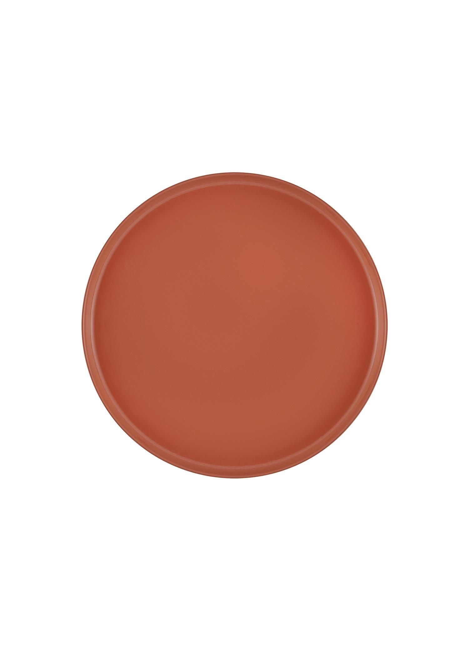 The Mia Cotta Limoges Pasta Tabağı Terracota 21 cm
