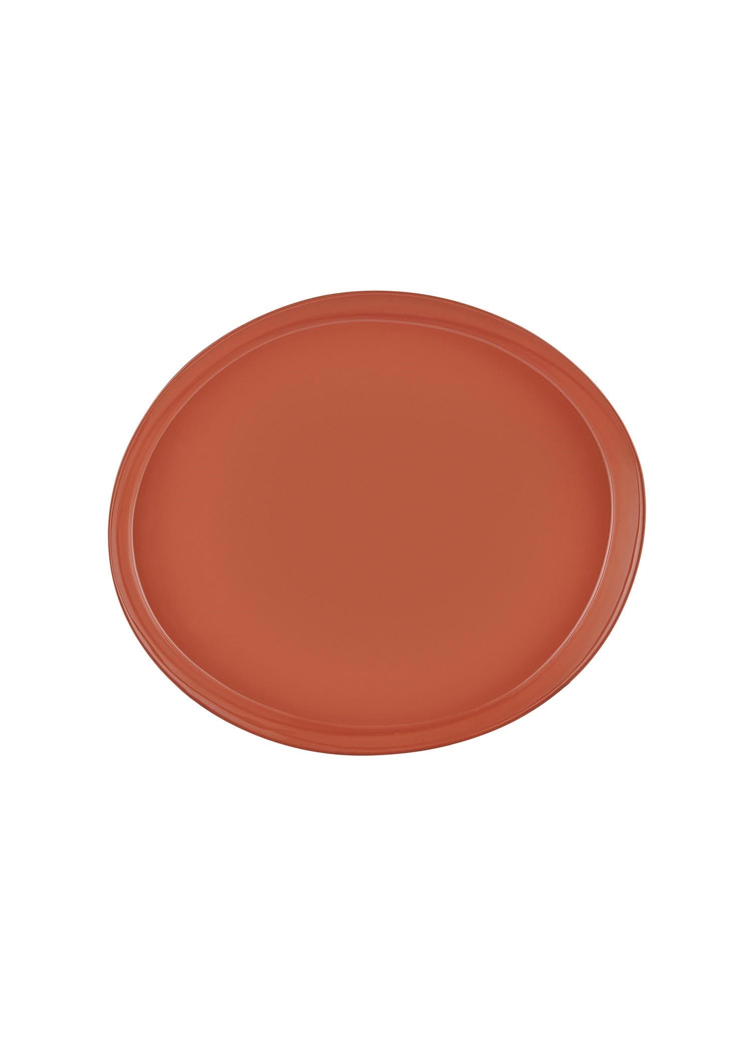The Mia Cotta Limoges Pasta Tabağı Terracota 22 cm