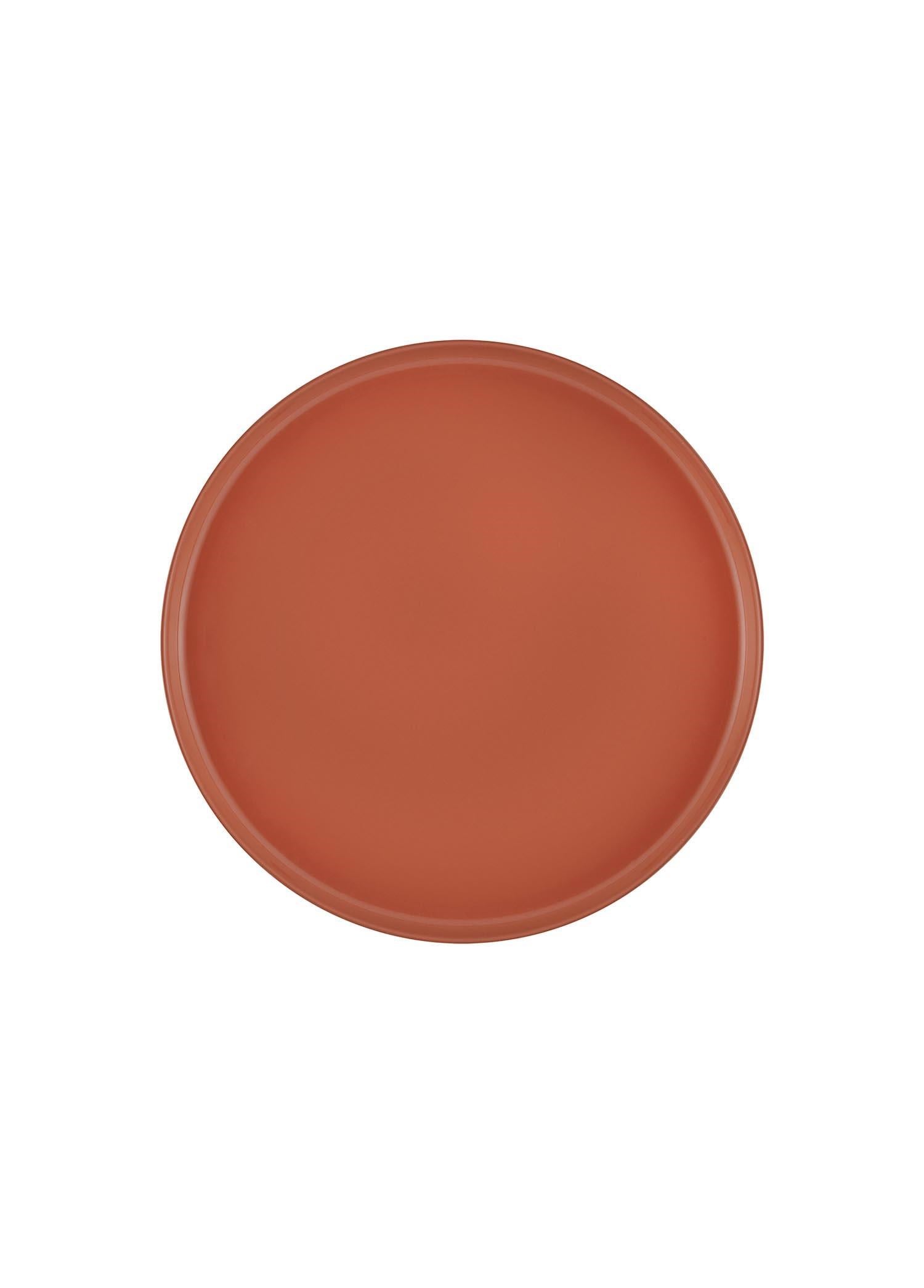 The Mia Cotta Limoges Pasta Tabağı Terracota 21 cm