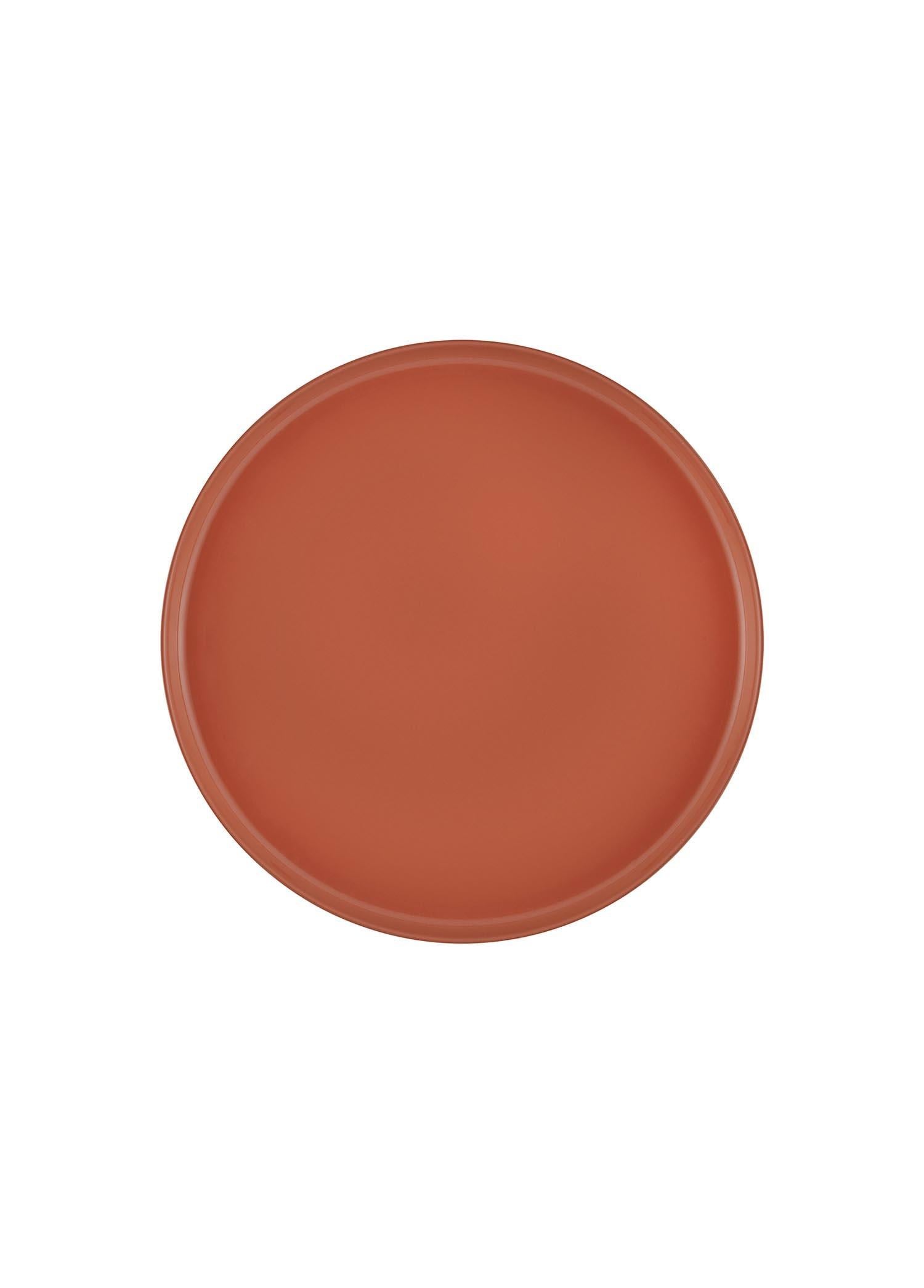 The Mia Cotta Limoges Pasta Tabağı Terracota 21 cm