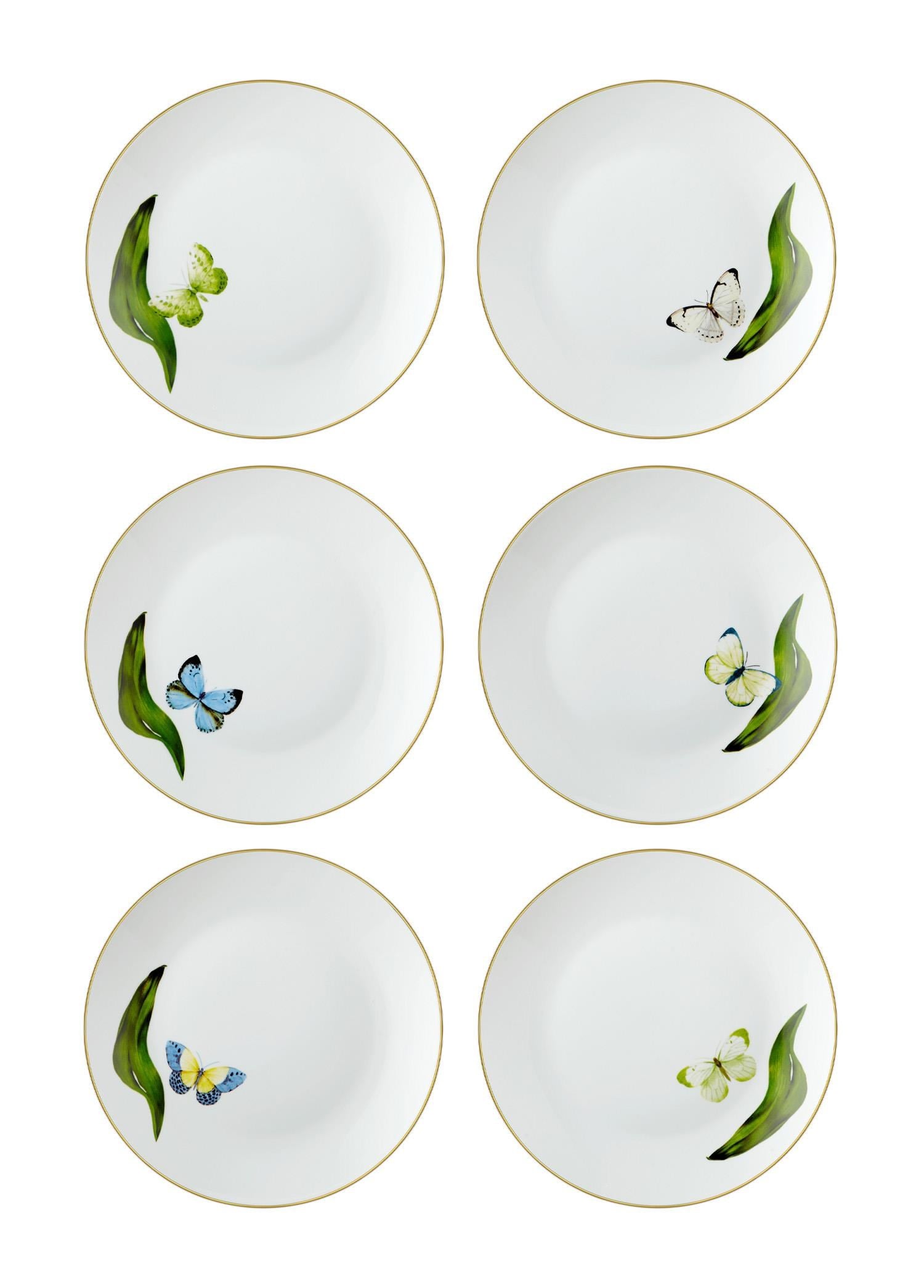 The Mia Folium Pasta Tabağı 6 Kişilik