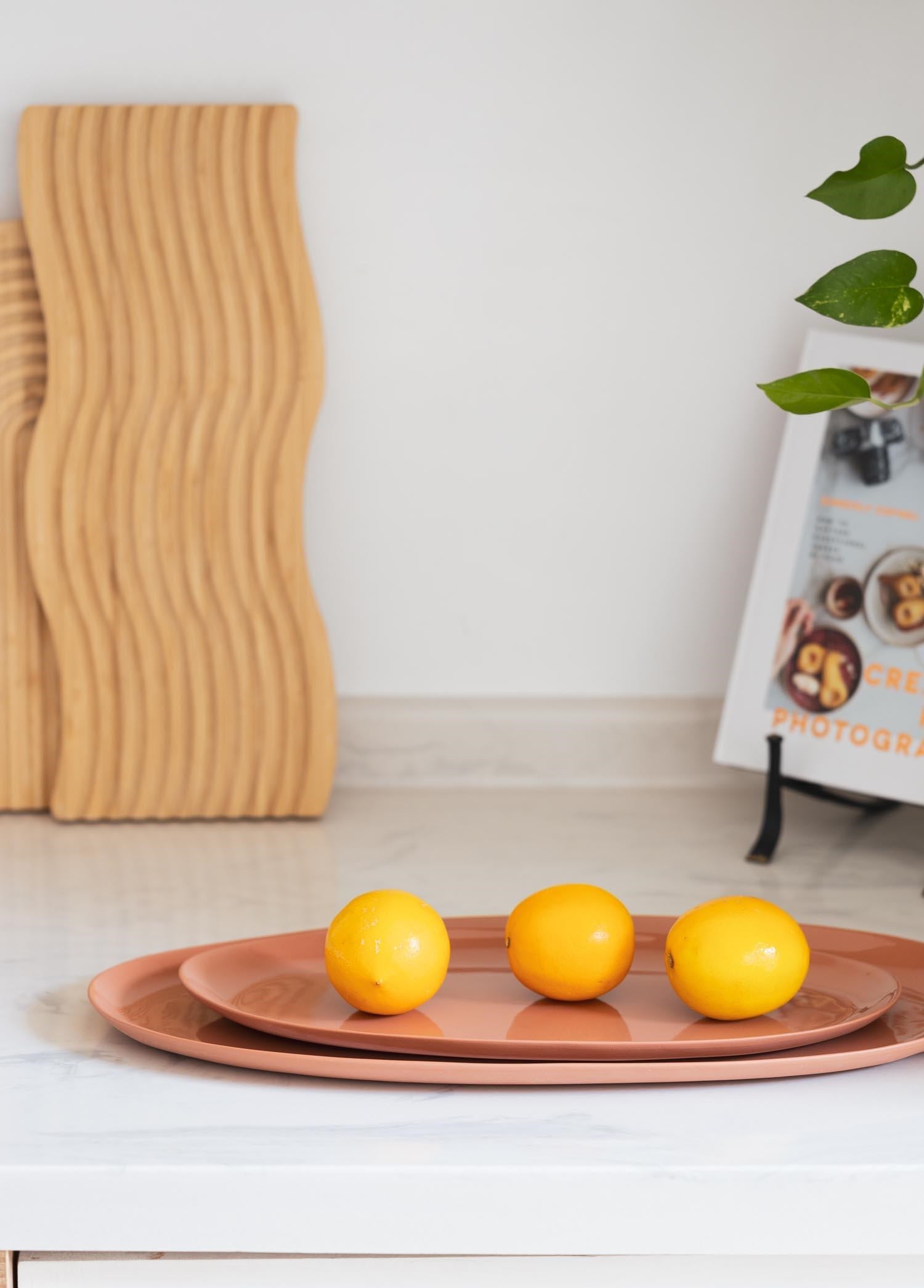 The Mia Cotta Limoges Oval Servis Tabağı Terracota 43x22cm