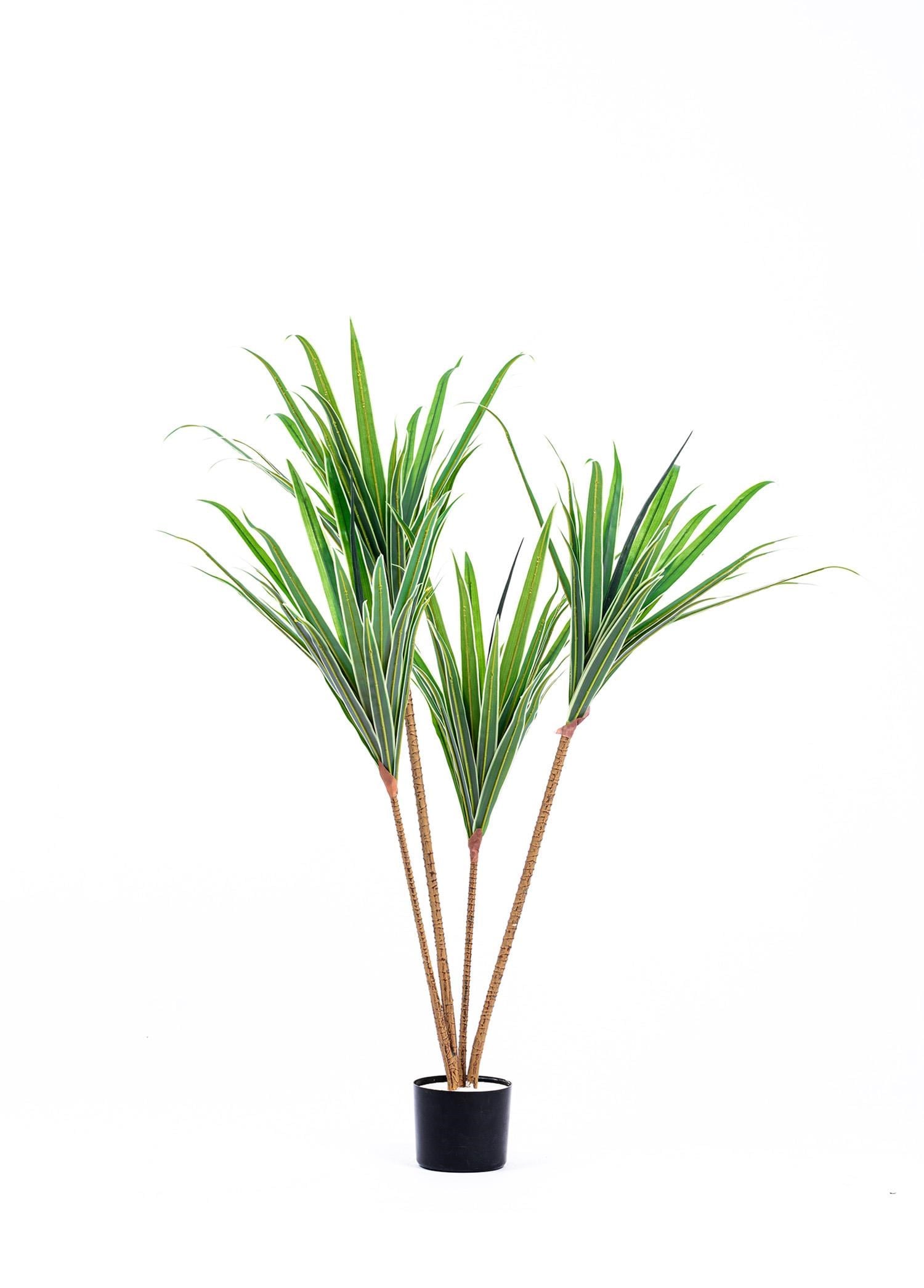 The Mia Dracaena Yapay Ağaç 4 Dallı 120 cm