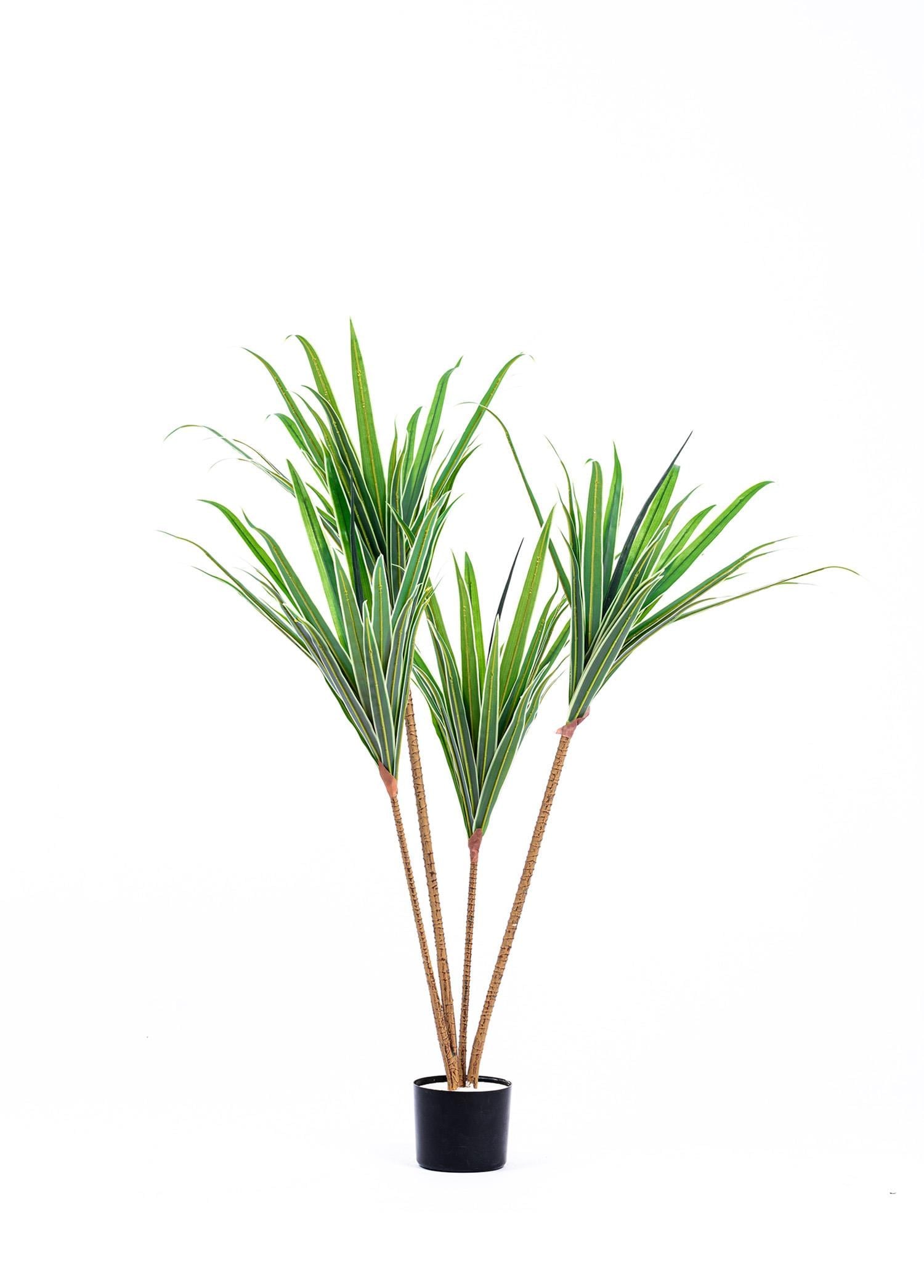 The Mia Dracaena Yapay Ağaç 4 Dallı 120 cm