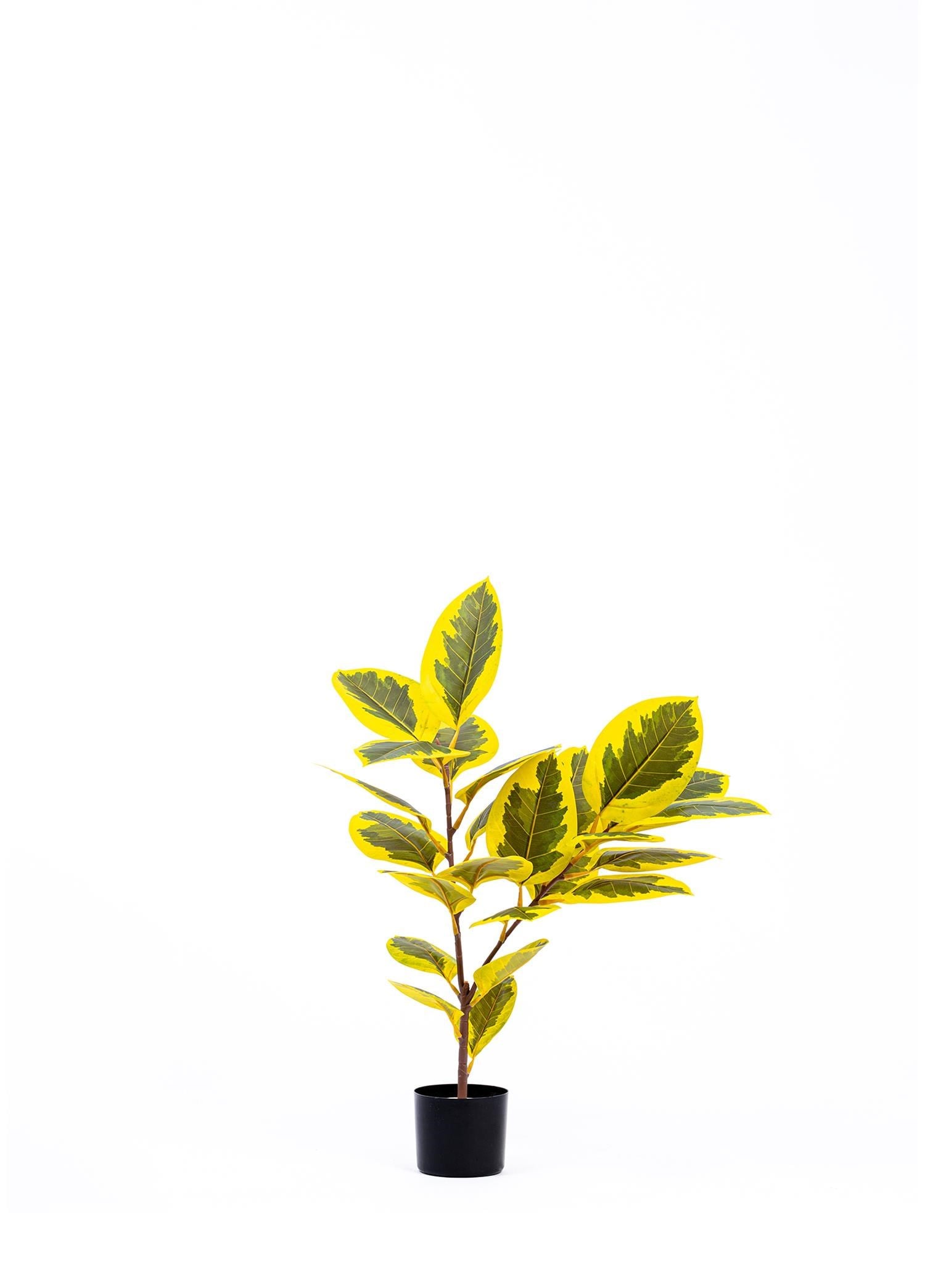 The Mia Ficus Altissima Yapay Ağaçı Sarı Yeşil 2 Dal 90 cm