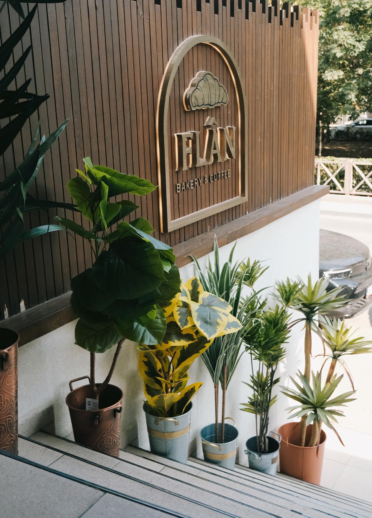 The Mia Ficus Altissima Yapay Ağaç Sarı Yeşil 6 Dal 170 cm