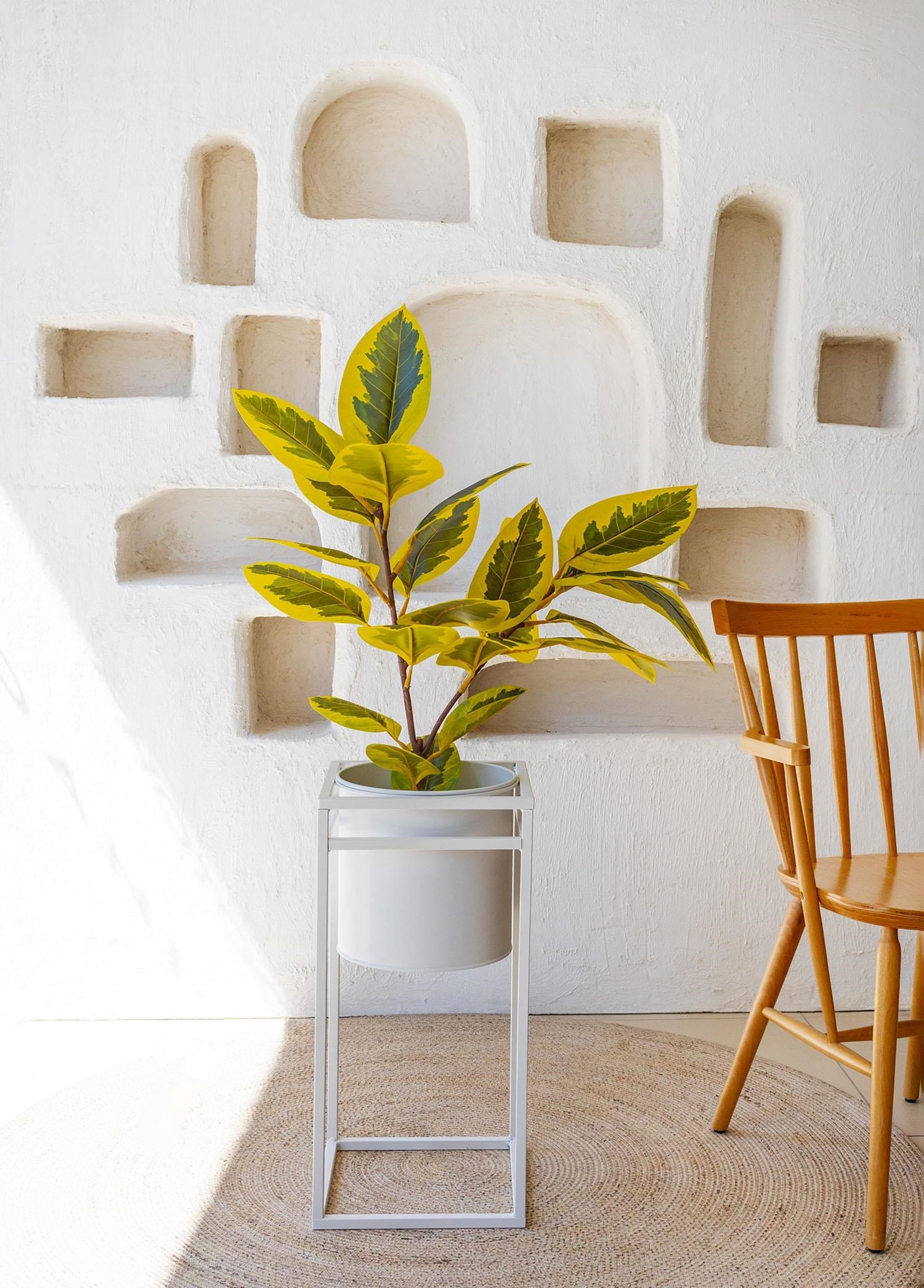 The Mia Ficus Altissima Yapay Ağaçı Sarı Yeşil 2 Dal 90 cm