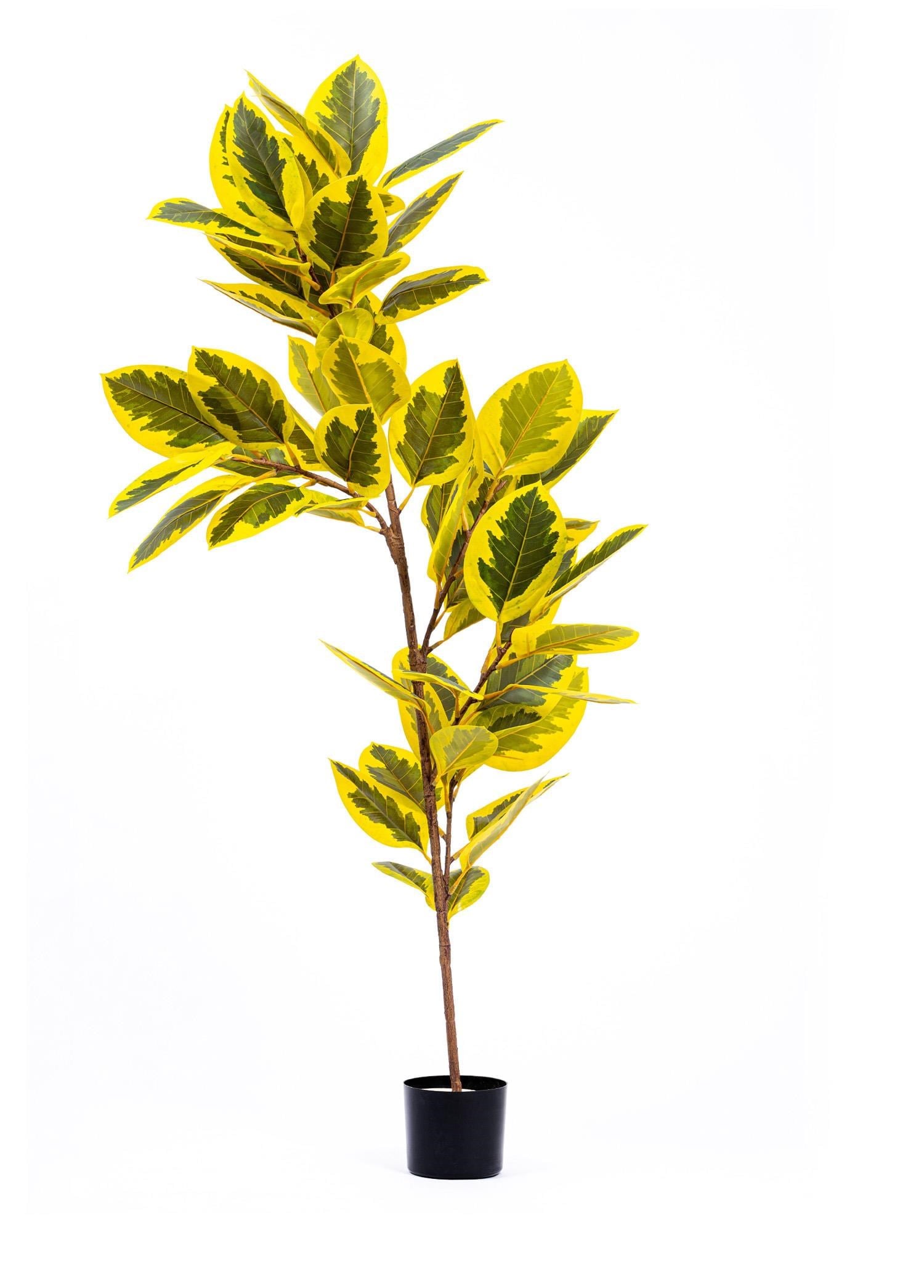 The Mia Ficus Altissima Yapay Ağaç Sarı Yeşil 6 Dal 170 cm