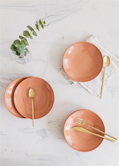The Mia Noon Yemek Tabağı 6lı Somon 20 cm