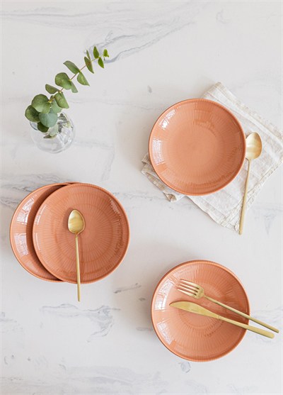 The Mia Noon Yemek Tabağı 6lı Somon 20 cm