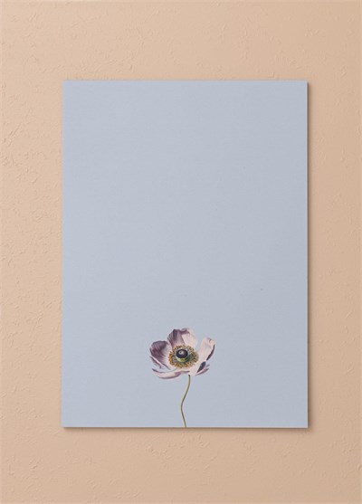The Mia Art Line Mini Notluk Anemone 21x30 cm 40 Yaprak