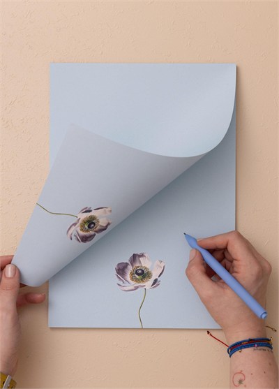 The Mia Art Line Mini Notluk Anemone 21x30 cm 40 Yaprak