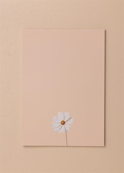 The Mia Art Line Mini Notluk Cosmea 21x30cm 40 Yaprak