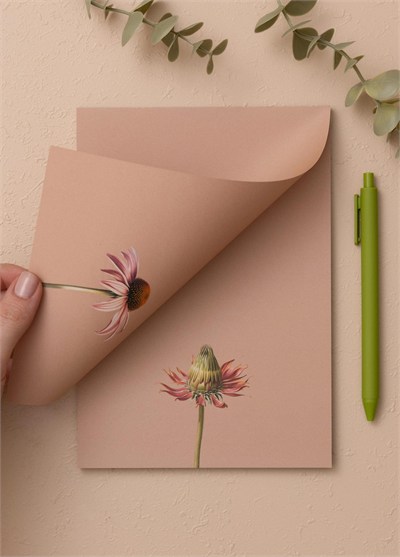 The Mia Art Line Mini Notluk Coneflower 15x21 cm 40 Yaprak