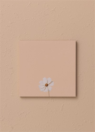 The Mia Art Line Mini Notluk Cosmea 10 x 10 cm 40 Yaprak