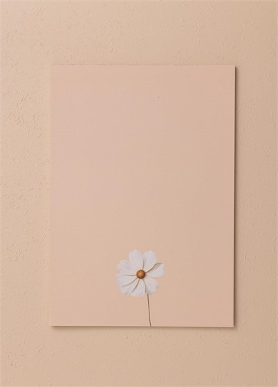 The Mia Art Line Mini Notluk Cosmea 21x30cm 40 Yaprak