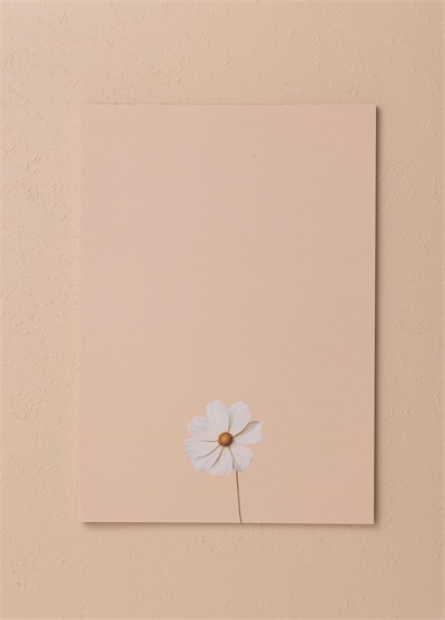 The Mia Art Line Mini Notluk Cosmea 21x30cm 40 Yaprak