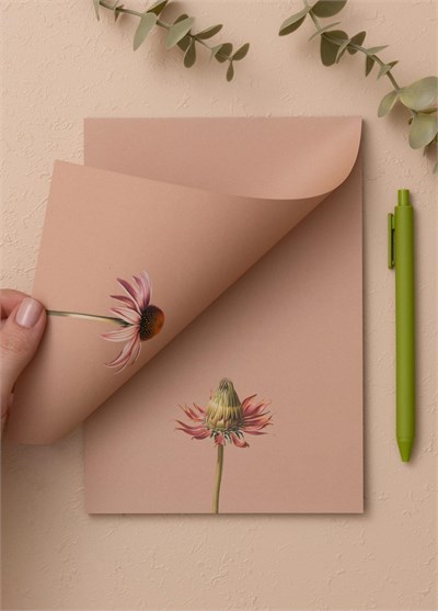 The Mia Art Line Mini Notluk Coneflower 15x21 cm 40 Yaprak