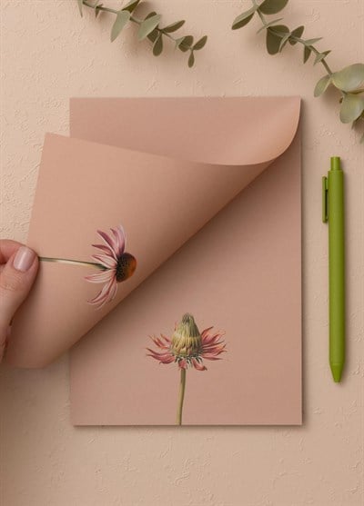 The Mia Art Line Mini Notluk Coneflower 15x21 cm 40 Yaprak