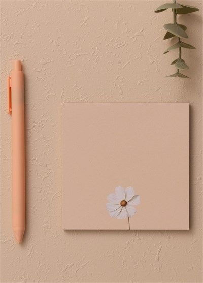The Mia Art Line Mini Notluk Cosmea 10 x 10 cm 40 Yaprak