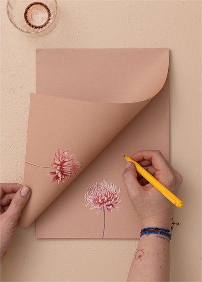 The Mia Art Line Mini Notluk Chrysanthemum 21x30cm 40 Yapr