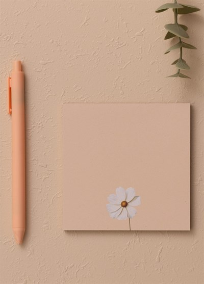 The Mia Art Line Mini Notluk Cosmea 10 x 10 cm 40 Yaprak