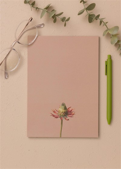 The Mia Art Line Mini Notluk Coneflower 15x21 cm 40 Yaprak