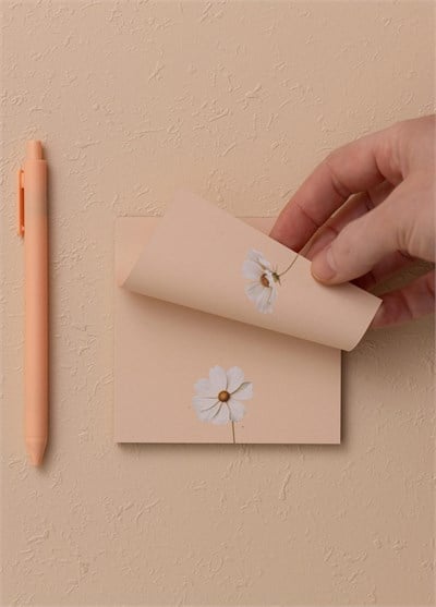 The Mia Art Line Mini Notluk Cosmea 10 x 10 cm 40 Yaprak