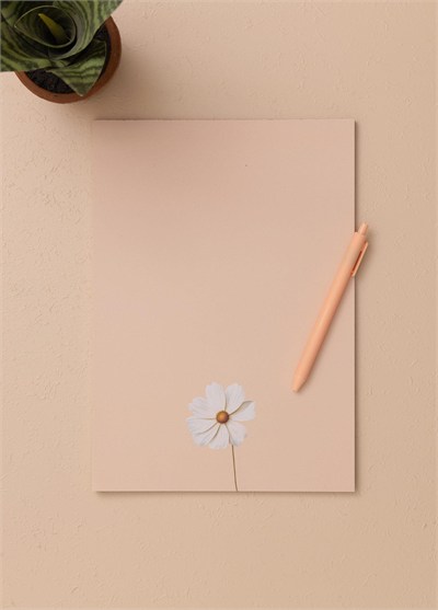 The Mia Art Line Mini Notluk Cosmea 21x30cm 40 Yaprak