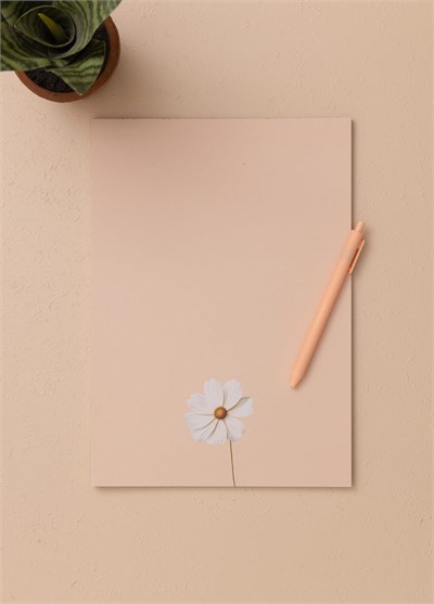 The Mia Art Line Mini Notluk Cosmea 21x30cm 40 Yaprak