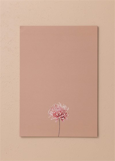 The Mia Art Line Mini Notluk Chrysanthemum 21x30cm 40 Yapr