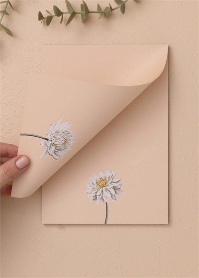The Mia Art Line Mini Notluk Dahlia 15 x 21 cm 40 Yaprak